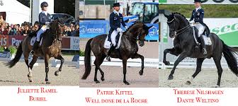 She began her international show career in the 2000s, first with donkahn and seigneur, and then as an under 25 grand prix rider aboard insterburg. Sweden S Olympic Team Patrik Kittel Well Done De La Roche Juliette Ramel Buriel Therese Nilshagen Dante Weltino Dressage News