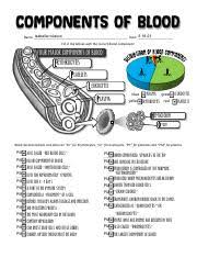 Circulatory System Exhibition Stations Pdf Thank You So Much For Supporting Biology Roots I Am So Excited That You Will Be Using My Resources To Course Hero
