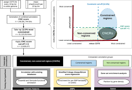 This is toulouse, 2017 by jack williams on vimeo, the home for high quality videos and the people who love them. Human Lineage Specific Genomic Elements Are Associated With Neurodegenerative Disease And Apoe Transcript Usage Nature Communications