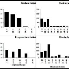 Image result for Justicia stachytarphetoides