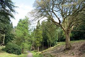 The woodlands of bedfordshire cover 6.2% of the county. Leigh Woods Forestry England
