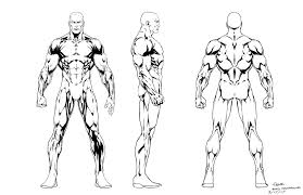 Human anatomy is a fascinating subject and one that is relevant for doctors, artists, physical therapists, and just those interested in what we're made of. Jason Fabok On Twitter In 2021 Concept Art Characters Character Design Comic Art
