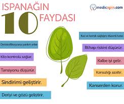 Ispanagin 10 Faydasi Pie Chart Chart Vitamins