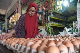 Ini terjadi karena orang2 yang bershio ayam umumnya mempunyai. Harga Telur Ayam Masih Tinggi Batampos Co Id