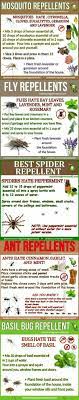 Insects Be Gone Oils Essential Oils Bug Repellent