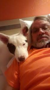 William Rittenhouse Obituary (2019)