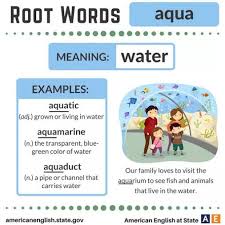 Root Words Aqua Root Words Words Matter English Language Learning