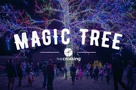 Check spelling or type a new query. Magic Tree Lighting The Crossing