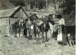 Pioneer and Old-Timer Accounts