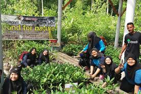 Ekosistem hutan ini amat perlu dikekalkan untuk; Kuala Sepetang Eco Tourism Matang Mangrove Forest Reserve Tour Bird Watch Fireflies Sighting Kepentingan Hutan Paya Laut