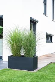 Pflanzkubel Anthrazit Sind Echte Trendobjekte Im Garten Der Pflanztrog Sieht Mit Grasern Bepflanzt Einfach K Pflanzkubel Anthrazit Vorgarten Ideen Bepflanzung