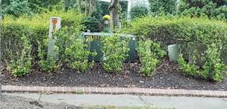 Three days ago my son and neighbor were playing in my front yard and tripped over the exposed green terminal box and hurt themselves. How To Beautifully Hide Outdoor Eyesores Garden Artisans Llc