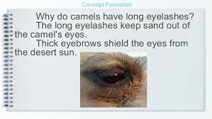 Why does arabic have 150 words to describe a camel? 2nd Qtr 5 Adaptation Part 1