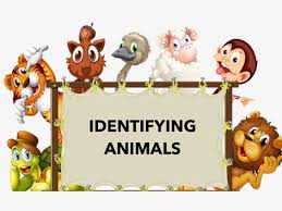 If you're looking for free jigsaw puzzles to play, look no further than these five websites. Identifying Animals Online Games Language Studies Native Free Games Activities Puzzles Online For Kids Preschool Kindergarten By Teresa Grimes Tinytap