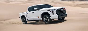 Image result for Power Tan 2025 Fleet