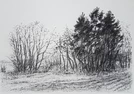 Dessin Paysage Arbres Et Champ Au Fusain Drawing By Gyorgy Acs Artmajeur ,,paysage créé par l'imagination d'un artiste, par opposition au paysage d'après nature. eur