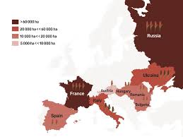 La carte a une taille de 92 cm (côté court). Higher Acreages Higher Yields Sorghum Continues Its Expansion Sorghum Id