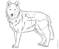 Simple Wolf Step 5 Wolf Wolf Drawing Drawings