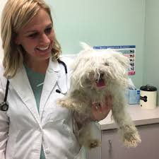 We did not find results for: Orange Canyon Pet Clinic 42 Photos 96 Reviews Veterinarians 7614 E Chapman Ave Orange Ca Phone Number