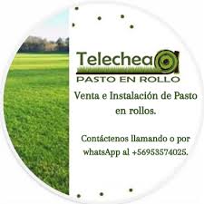 Sod shop is located in wichita city of kansas state. Sod Shop Inc Home Facebook