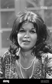 Tv photographer Black and White Stock Photos & Images