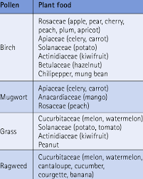 Other fruits, including watermelon, banana and avocado. Common Plant Food Reported To Show Cross Reactivity With Pollen Download Table