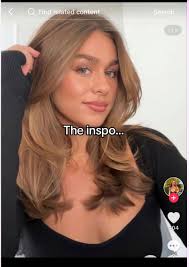 Looking for someone who can take my hair from blonde highlights to this  colour?