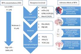 He is also partner at flg partners llc. Bisphenol A And Its Effects On The Systemic Organs Of Children Springerlink