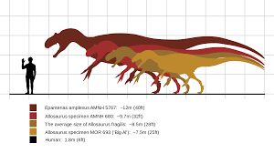 Allosaurus Size Comparison Real Dinosaur Prehistoric