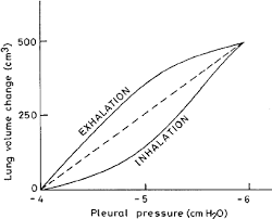 Respiration lung mechanics (compliance and recoil) facebook page: Compliance Diagram Of The Two Lungs In A Normal Person Download Scientific Diagram
