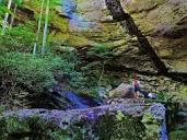 Profile Picture of Jenny-Fall Profiles | Facebookon Google