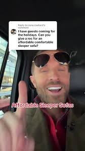 Living Spaces Sofa Sleeper