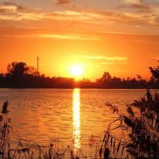ZTE X990D Nature Wallpapers