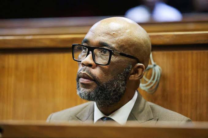 Prosecuting Cat Matlala to be an expensive pursuit with no guaranteed outcome - expert | The Citizen