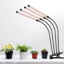Sunlight contains the full spectrum of light needed to make plants grow, but not all plants have access to the sun's rays. Plant Light For Indoor Plants Livingbasics