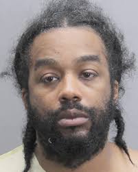 The driver of the fleeing car, Mark Ricks, 37, of Alexandria, was charged  with Driving w/o License, Felony Hit & Run, Felony Eluding, Assault