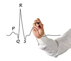 Para Medicos Y Estudiantes Online Learning Cardiology Medicine