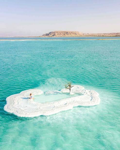 How to find the iconic Dead Sea Tree - the exact location — Walk My World