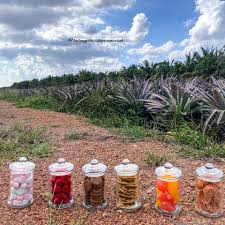 Yuk, manfaatkan jadi kerajinan dari botol plastik bekas sambil kita daur ulang plastik! Mybotol Plastik Home Facebook