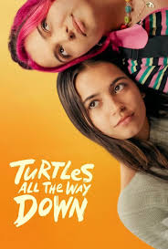 Turtles All the Way Down (Film)