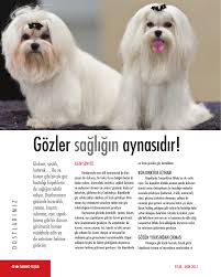 Gozler Sagligin Aynasidir