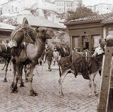 Deve Kervani Mihrimah Sultan Uskudar Camii Onlerinde Istanbul Sultan Galeri