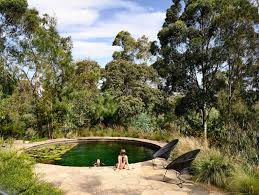 Kennedy Nolan Derek Swalwell Fairfield House Natural Swimming Pools Natural Pool Natural Swimming Ponds