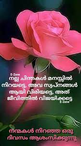 Pin By Eron On Good Morning Malayalam Good Morning Wishes Good Morning Flowers Good Morning Quotes