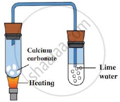 Practical Skills - Physics/Chemistry - Assignment - Teachmint
