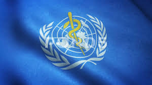 3d illustration of un flag on a flagpole fluttering in the wind on a transparent background, png format with alpha channel transparency. Realistic Flag Of World Health Organizat Stock Video Pond5