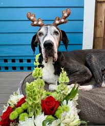 Maybe you would like to learn more about one of these? Meet Hilary Bateman Owner Little House Of Flowers Shoutout Socal