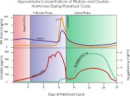 Common Signs Of Progesterone Deficiency Cycle Harmony