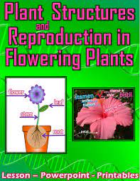 Pin On Life Sciences Heredity And Reproduction