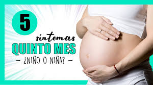 Sintomas 5 Meses De Embarazo Embarazo Semana A Semana Mes 5 Quinto Mes Embarazada Youtube